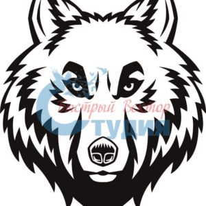 Волки 41