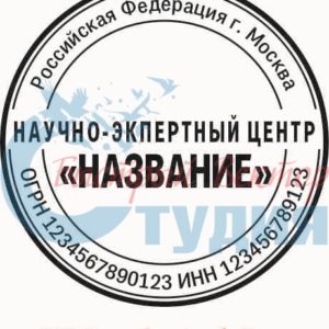 Шаблон ООО 69