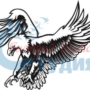 Орлы 49