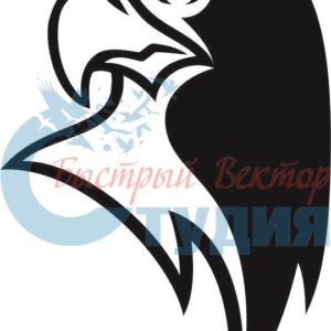 Орлы 58